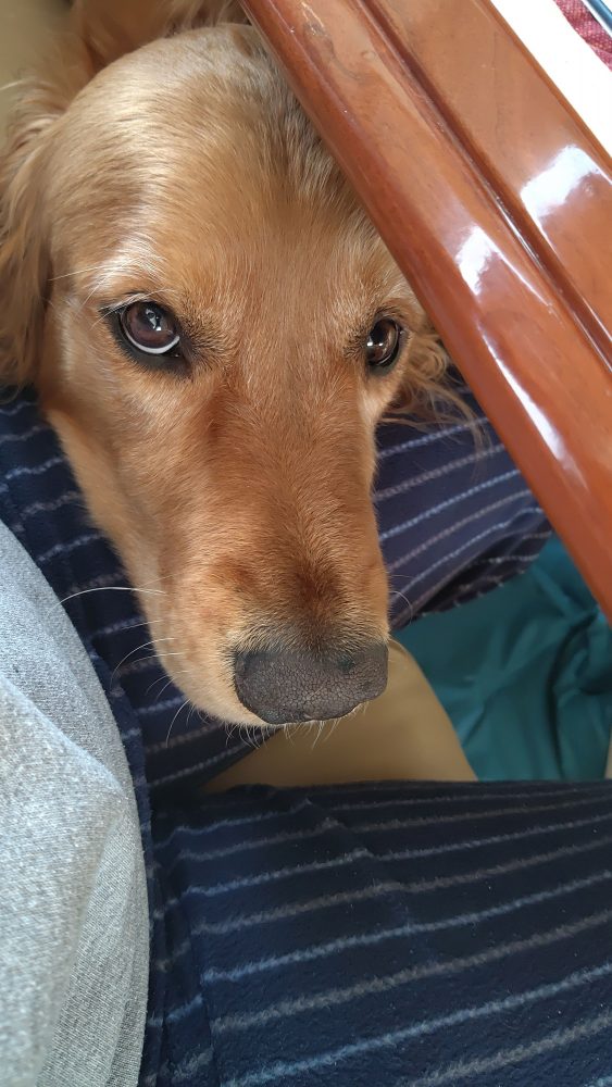 On the mend