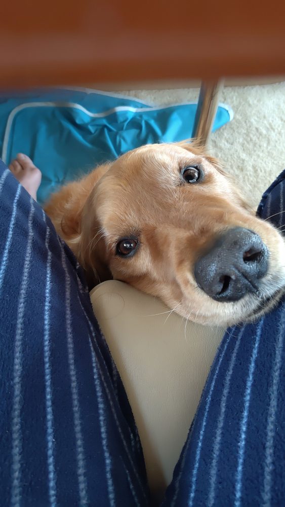Getting excellent care